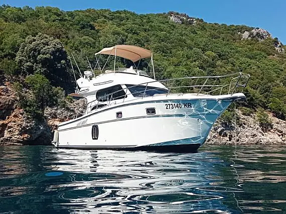 Altair Zafir 42
