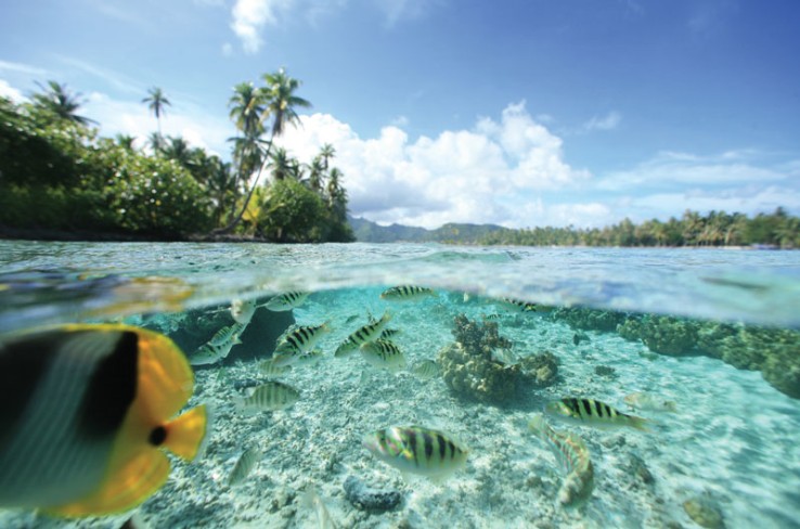  © tahiti yachtcharter