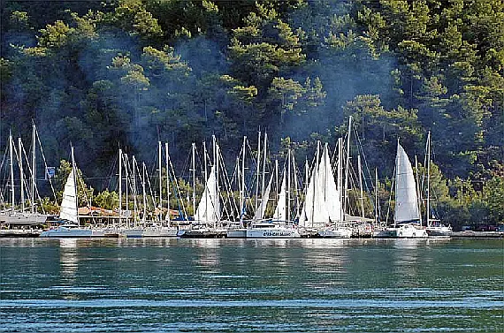  © albatrosmarina.com
